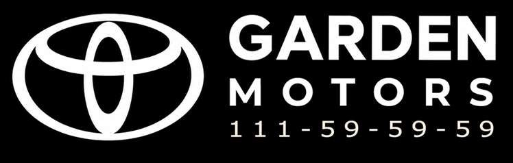 logoweb